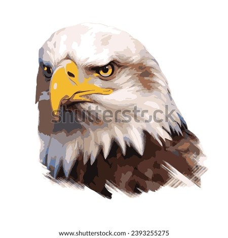 Eagle bird face vector illustration 