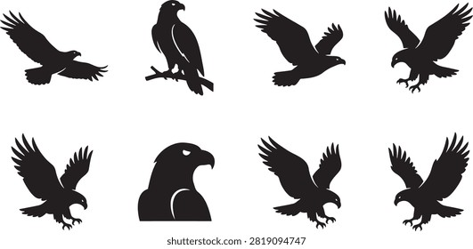 Eagle bird flight falcon hawk predatory bird silhouette collection