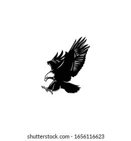 eagle bird flying animal vector