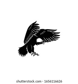 eagle bird flying animal vector