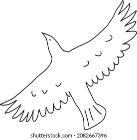 eagle bird flying in the sky