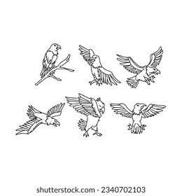 eagle bird hand drawn doodle illustrations vector set
