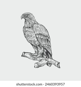 Eagle Bird Hand gezeichnetes Logo-Symbol Vektorillustration