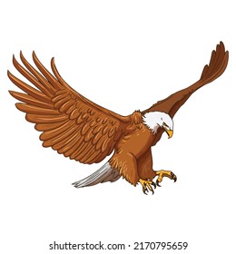 Eagle Bird Hunting Realistic Vector Illustrations 