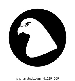 eagle bird isolated icon