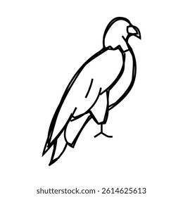 eagle bird line icon vector. eagle bird sign. isolated contour symbol black illustration