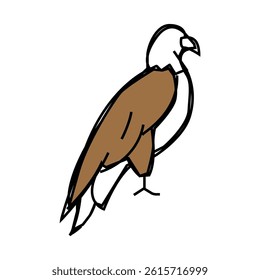 eagle bird line icon vector. eagle bird sign. isolated symbol illustration