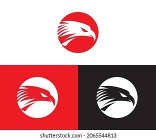 Eagle Bird Logo design. Business Logo Concept