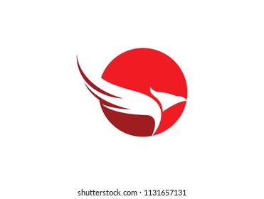 Eagle Bird Logo Template vector icon
