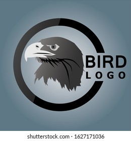 eagle bird logo vector design illustration