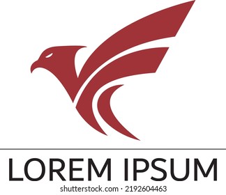 Eagle bird modern and bussines logo