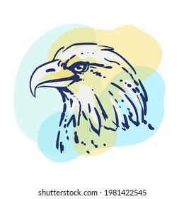 Eagle bird portrait. Simple handmade sketch. Drawing of an bird on a colored background.