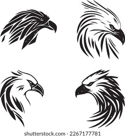 eagle, bird, raptor, beak, talons