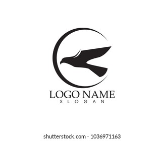 eagle bird sign abstract template icons app