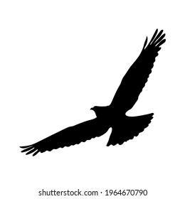 eagle bird silhouette, drawing, vector illustration