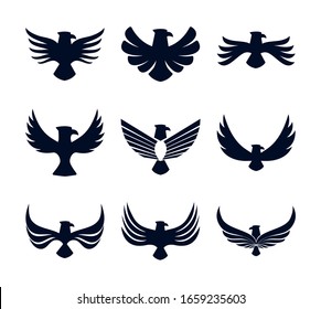 Eagle bird silhouette style icon set design, animal feather predator wildlife flight beak natural and tattoo theme Vector illustration