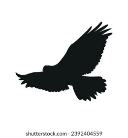 silueta de ave águila, diseño vectorial
