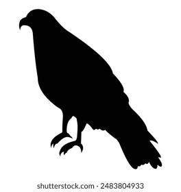 Eagle bird silhouette vector design. black and white.