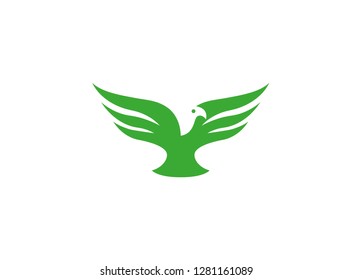 eagle bird spread his wings