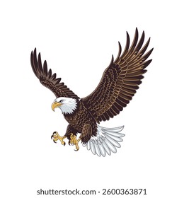 Eagle bird vector design  illustration