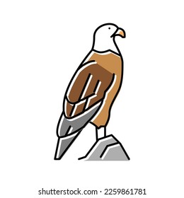 eagle bird in zoo color icon vector. eagle bird in zoo sign. isolated symbol illustration