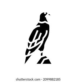 eagle bird in zoo glyph icon vector. eagle bird in zoo sign. isolated contour symbol black illustration