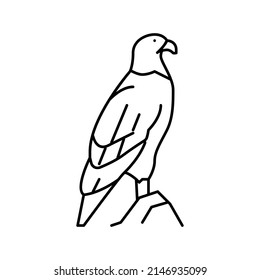eagle bird in zoo line icon vector. eagle bird in zoo sign. isolated contour symbol black illustration