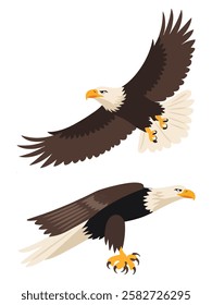 Eagle Birds Set Flying and Sitting Bald Eagles