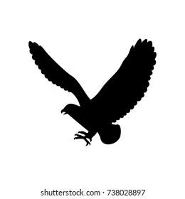 eagle bird,vector illustration