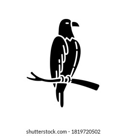 Eagle black glyph icon. Dangerous bird of prey, flying animal, winged predator. American national silhouette symbol on white space. Hawk, falcon sitting on tree branch vector isolated illustration