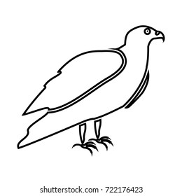 Eagle black icon .