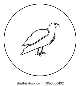 Eagle black icon in circle outline