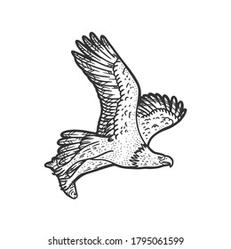 eagle carries the fish sketch engraving vector illustration. T-shirt apparel print design. Scratch board imitation. Black and white hand drawn image.