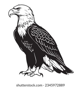 Eagle in cartoon 