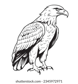 Eagle in cartoon 