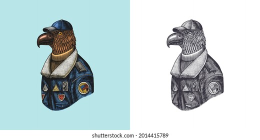  Carácter águila en abrigo. Aviador piloto. Un animal de moda, un avión vitoriano o un hombre de la nieve. Pájaro dibujado a mano. Esbozo antiguo monocromo grabado. Ilustración vectorial para camiseta, tatuaje, placa o impresión.