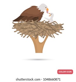 Eagle and chick in the nest color flat icon