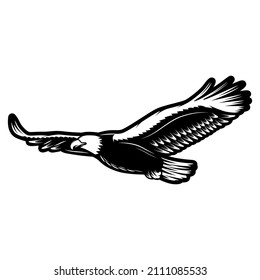 Adler-Wappen einzeln auf weißer Vektorgrafik, Adler-Kopfgrafik, Adler-Vogel-Flieger-Vektorgrafik.