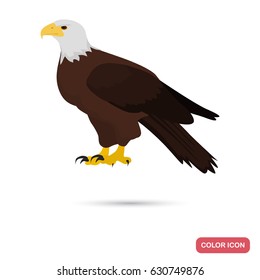 Eagle color flat icon for web and mobile design