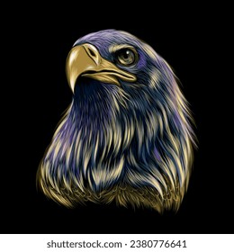 Eagle. Color, graphic, hand-drawn portrait of a eagle looking ahead on a black background. Wall stickers	