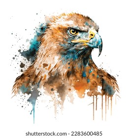 Eagle Color, realistic, art portrait of a soaring bald eagle on a white background in a watercolor style.