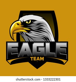 the eagle is daydreaming with sharp eyes looking at the opposite sex to lure