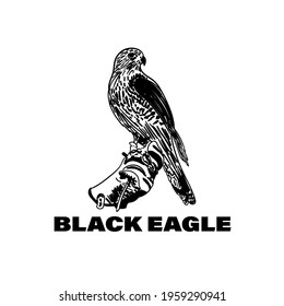eagle design logo vector. eagle animal bird vector