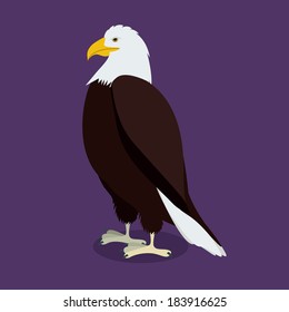 Eagle design over  purple background vector illustration 