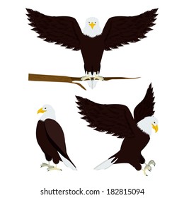 Eagle design over  white background vector illustration 