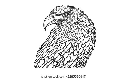 eagle detail vector on white background free illustration 