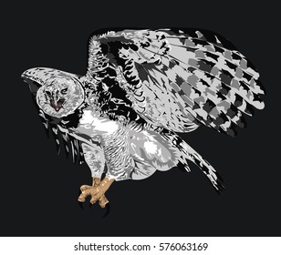 Eagle -  Detailed Realistic Illustration of Bird 