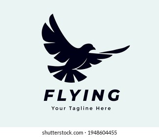 eagle dove bird fly illustration logo icon symbol inspiration