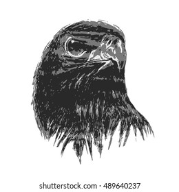 eagle drawing in art