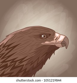 Eagle drawing over brown background